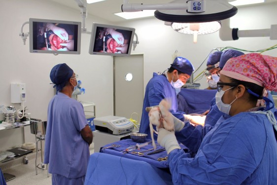 Cirujanos trabajando en transplante de riñon