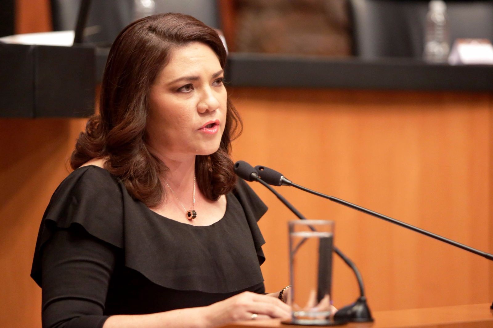 Senadora Rosa Adriana Díaz Lizama