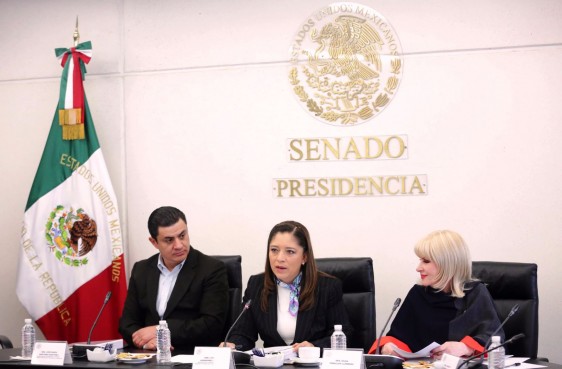 Décimo tercera reunión ordinaria de la Comisión de la Familia y Desarrollo Humano, a la que convoca su presidenta, senadora Lisbeth Hernández Lecona