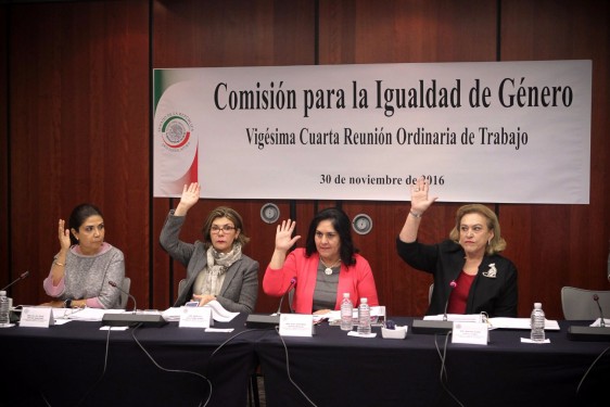 La titular de la Unidad de Género del Senado, Pamela Higuera Hidalgo, presentó su informe de las actividades.