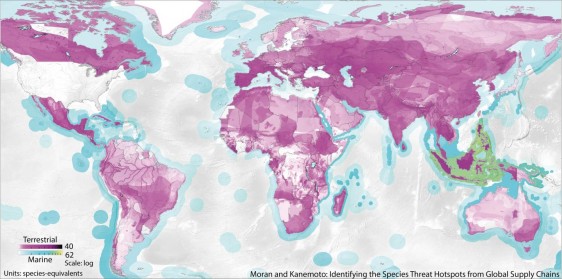 Este mapa muestra las ubicaciones destacadas de amenaza de especies causados por el consumo de los Estados Unidos. Cuanto más oscuro es el color, mayor es la amenaza causada por el consumo. El color magenta representa especies terrestres, mientras que el azul representa especies marinas.