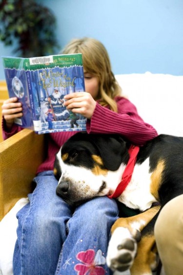 Los estudiantes de segundo grado que leyeron en voz alta a perros en un programa después de clases demostraron mejores aptitudes sobre la lectura.