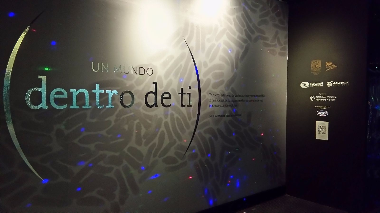 Un Viaje Fant Stico Hecho Exposici N Para Conocer Juntos Un Mundo Dentro De Ti Plenilunia