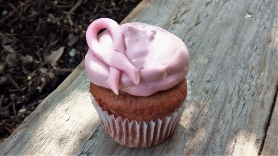 La Otilia Gluten Free Bakery, lanza cupcake rosa para conmemorar el Día Mundial del Cáncer de Mama, reconocer la lucha incansable de miles de mujeres y donar un porcentaje de sus ventas a fundación Salvati.