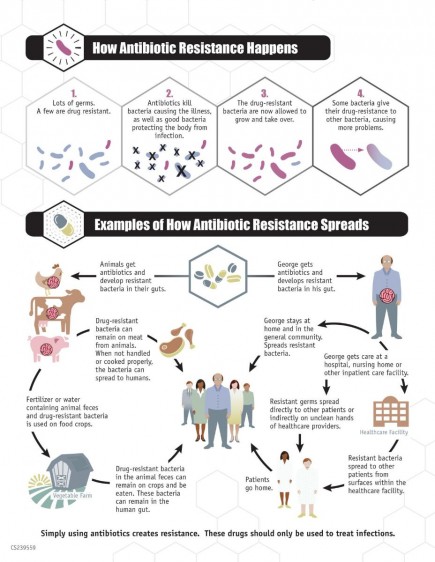 Infografía de como evoluciona la resistencia a los antibioticos.