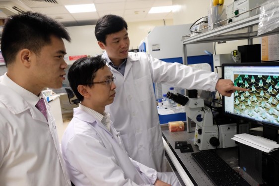 De izquierda a derecha Profesor asistente Xu Chenjie, Dr Than Aung, Profesor Chen Peng conversando sobre una imágen en microscopio del parche de microagujas