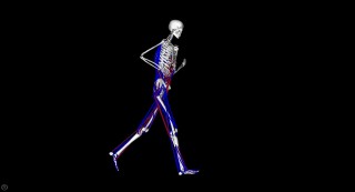 Modelo para la simulación de los corredores en el laboratorio permitió descubrir la causa del dolor de espalda.
