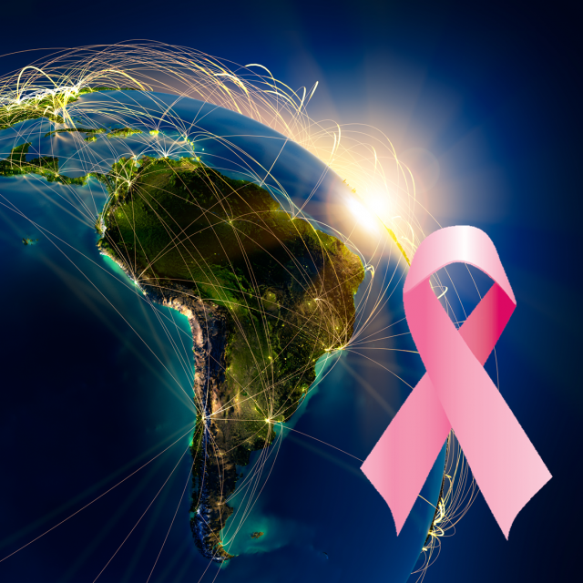 Cerca del 30-40% de los casos de cáncer de mama en América Latina se diagnostican en etapa metastásica avanzada <sup><a href="#referencia-1" data-rid="ref-1"> 1 </a></sup>.