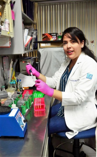La molécula Serpina3k puede servir como marcador para descubrir problemas en el riñón, sin necesidad de hacer una biopsia, explicó Andrea Sánchez Navarro, del doctorado en Ciencias Biomédicas.