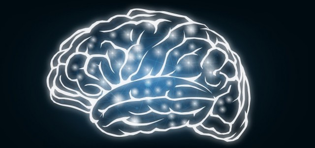 Control total de la epilepsia desde el cerebro