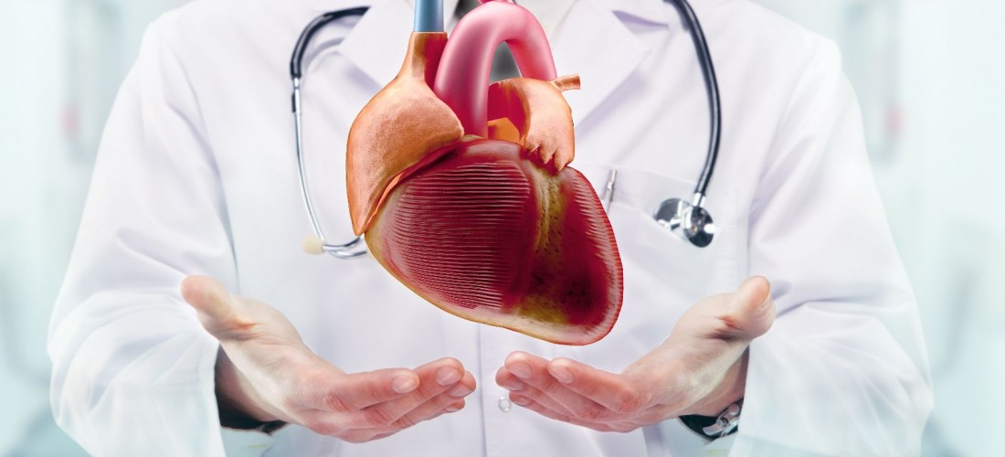 Medico sostiene imagen de un corazón flotando en sus manos