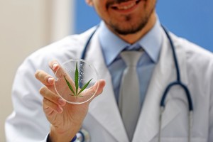 Medico sosteniendo un contenedor con una hoja de cannabis
