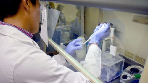 Especialista llenado una muestra en laboratorio
