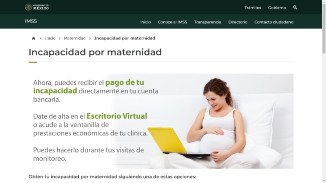 Página web de Incapacidad por maternidad