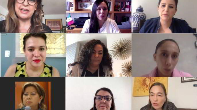 Video conferencia Grupo de Trabajo Plural por la Igualdad Sustantiva