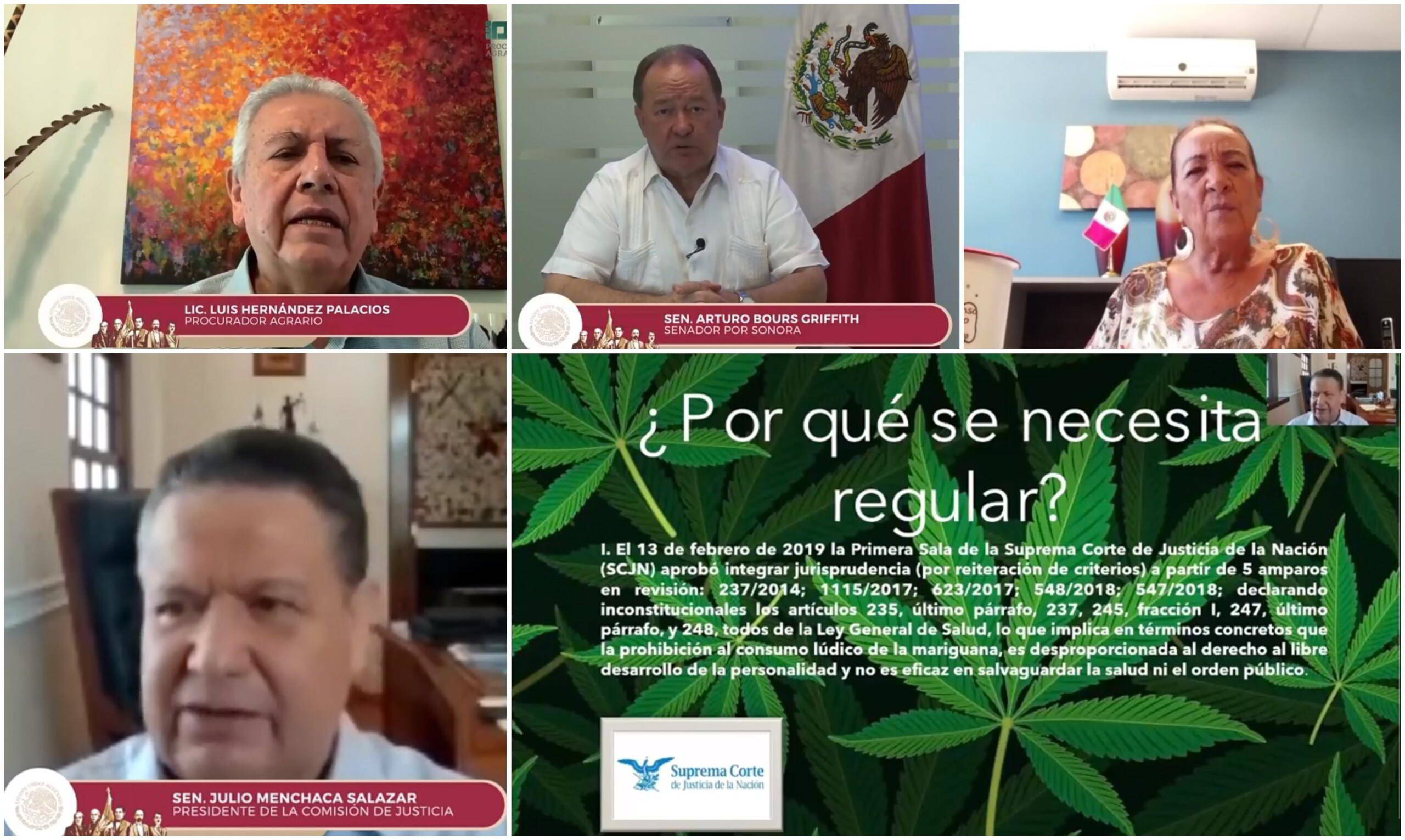 Videoconferencia Mariguana y el Campo Mexicano