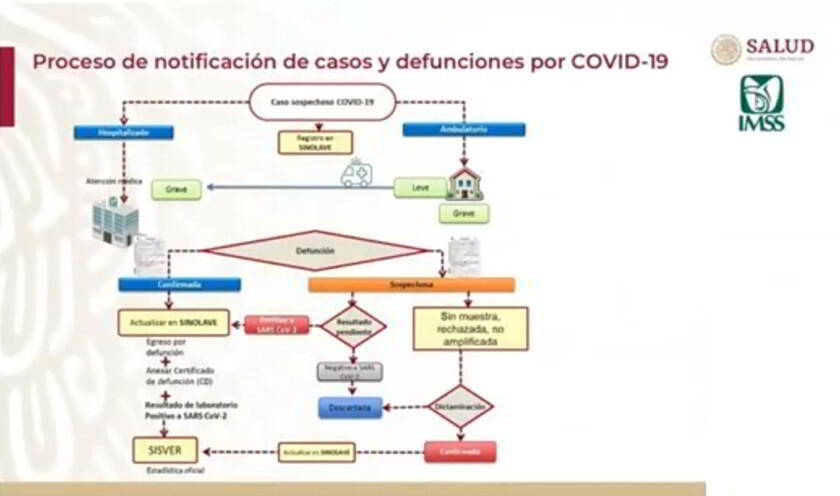 Gráfica de proceso de notificaciones de casos y defunciones en el IMSS