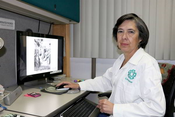 Luisa Rocha Arrieta, investigadora del Departamento de Farmacobiología del Cinvestav
