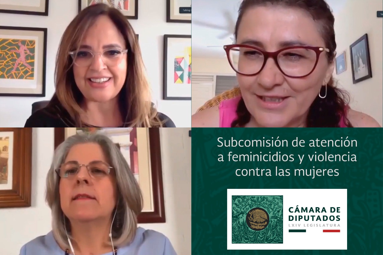 Conversatorio virtual “Por los derechos humanos de las niñas y niños, no al Pin Parental”