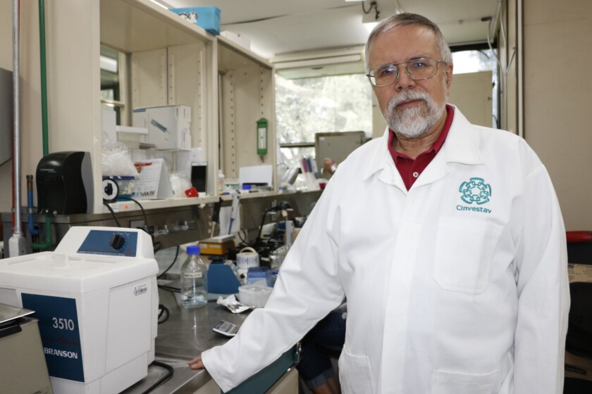 Gilberto Castañeda Hernández, investigador del Departamento de Farmacología del Cinvestav