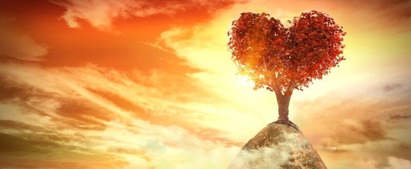 Puesta de sol con árbol del corazón