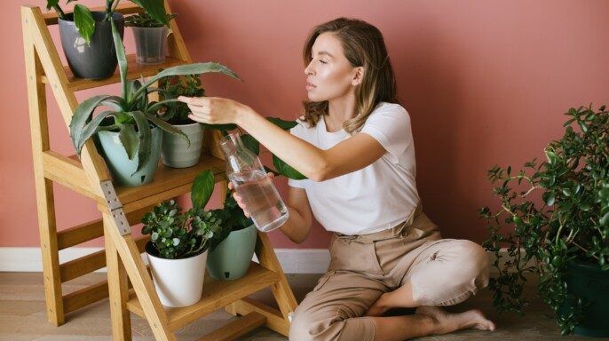 Mujer joven cuidando de las plantas y las flores del hogar