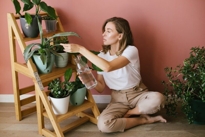 Mujer joven cuidando de las plantas y las flores del hogar