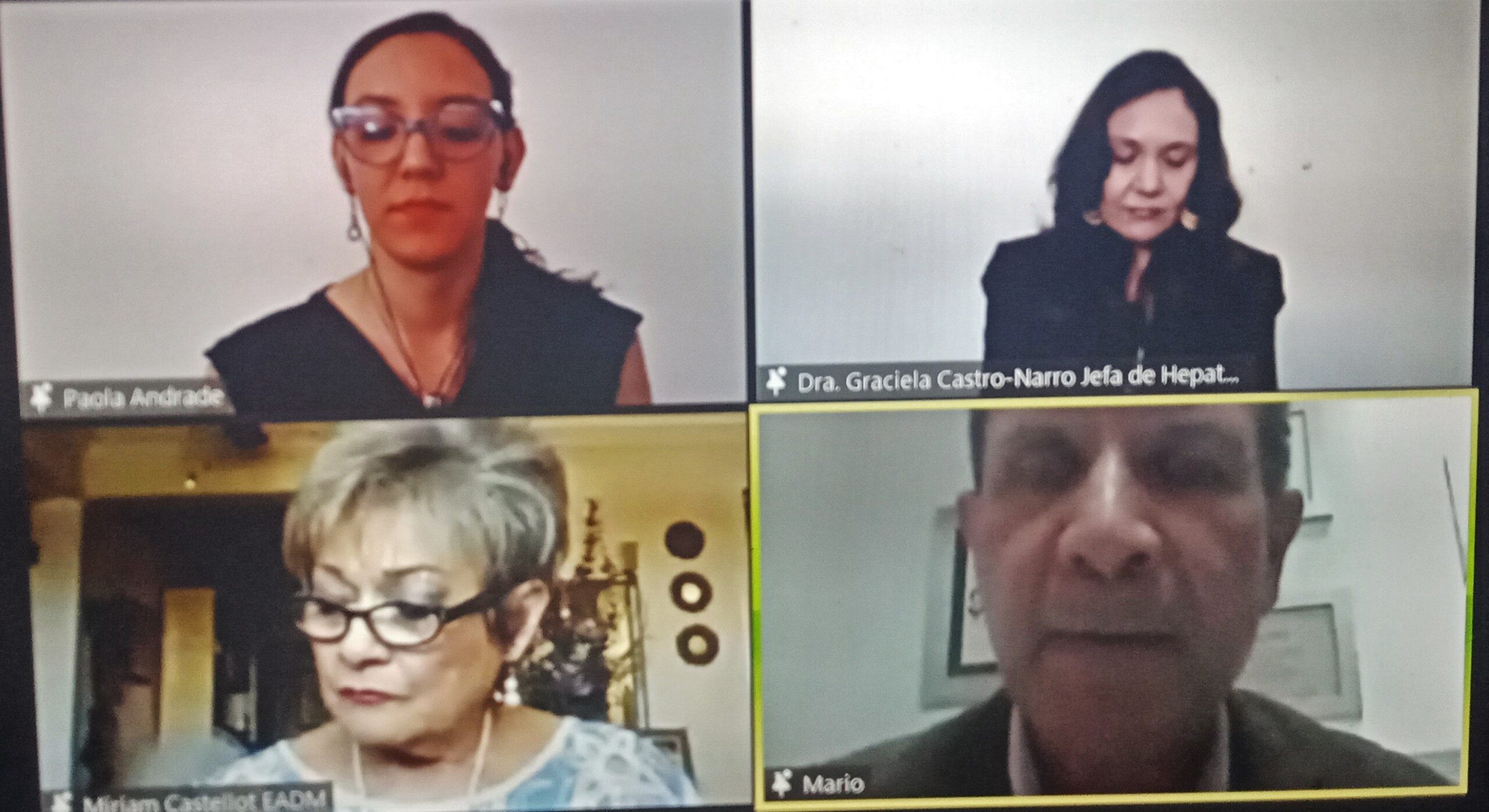 mesa redonda virtual sobre el tratamiento para el Virus de la Hepatitis C (VHC) en usuarios de drogas organizada por el Grupo de Autoayuda “Unidos por una Vida Mejor A.C.”