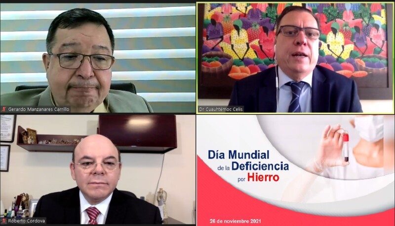 Videconferencia Día Mundial del Déficit de Hierro