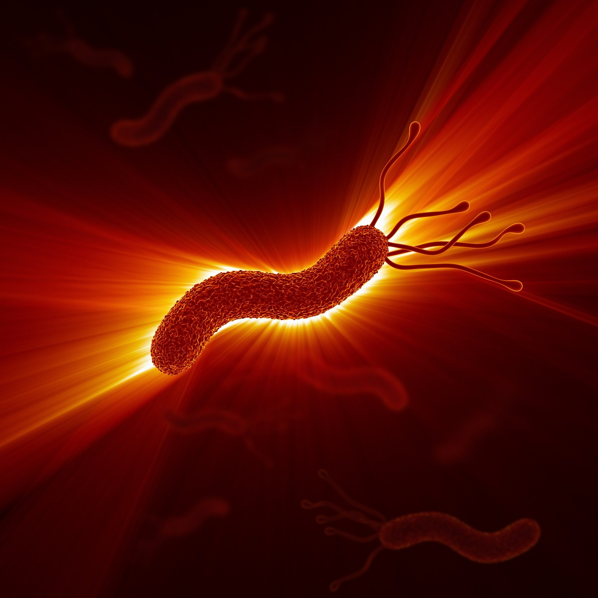 Helicobácter Pylori