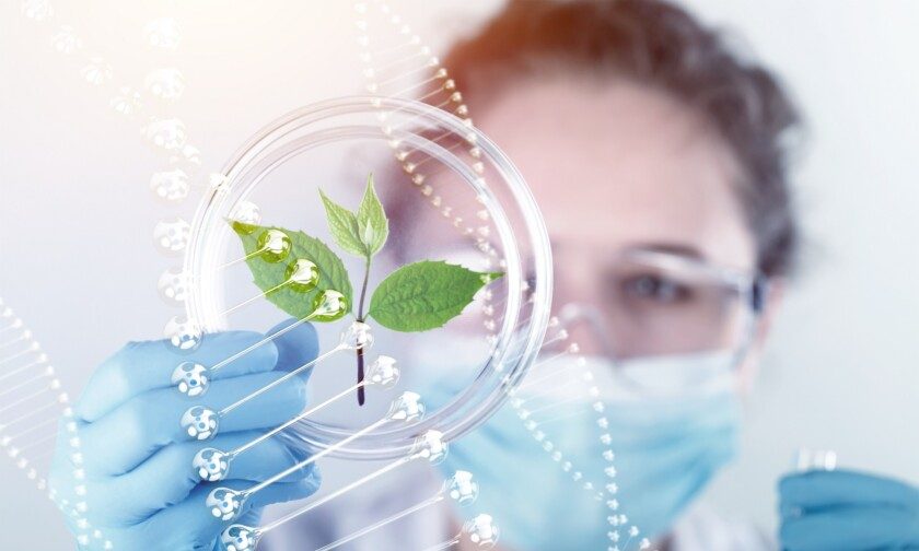 Científica sostiene germinación laboratorio