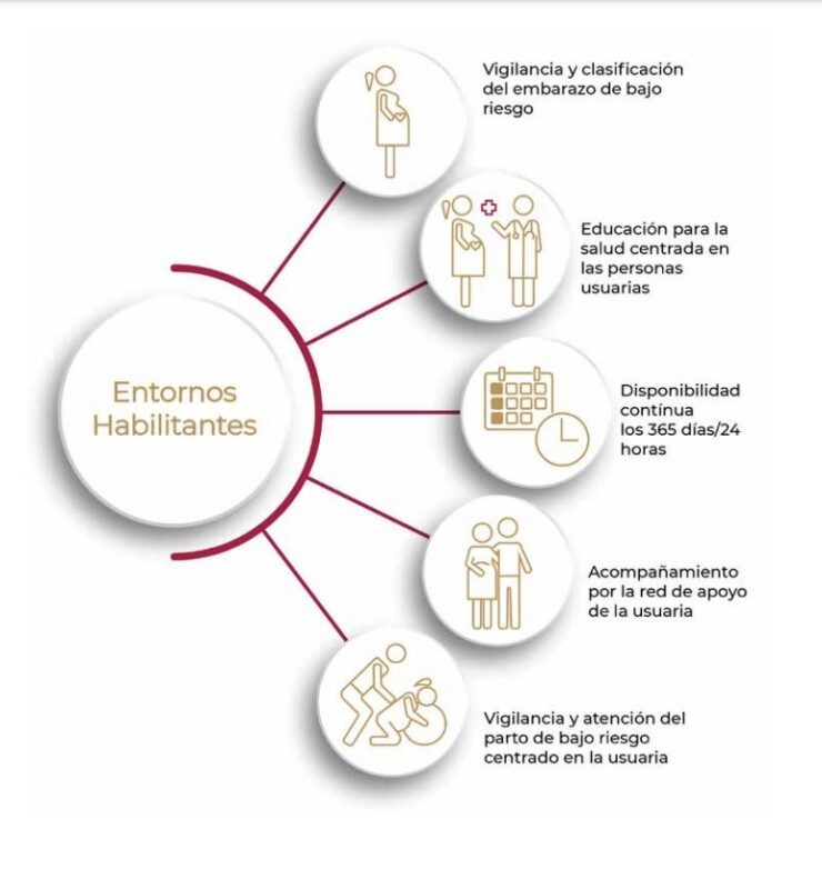 Ilustración de síntesis de ejes de funcionamiento en los entornos habilitantes