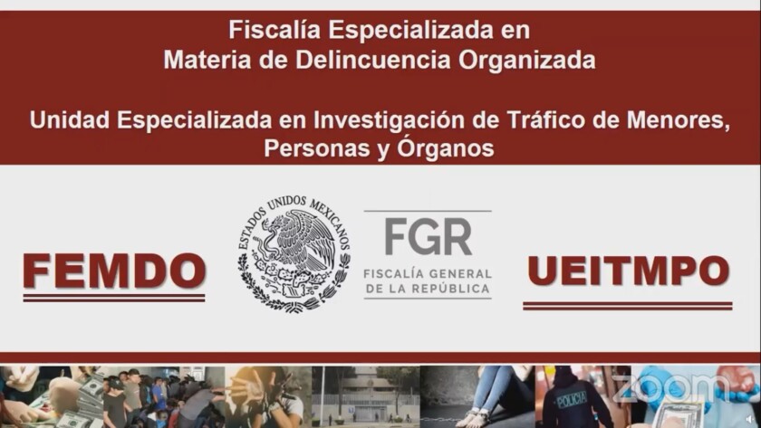 Unidad Especializada en Investigación de Tráfico de Menores, Personas y Órganos, de la FGR