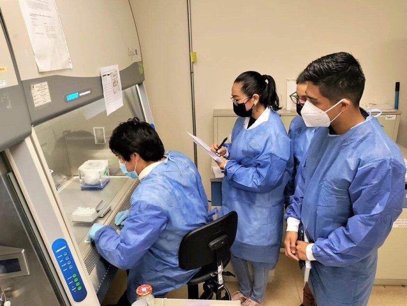 Tres laboratorios estatales y el Laboratorio Central Epidemiología del IMSS cuentan con el proceso para regionalizar el análisis de la enfermedad