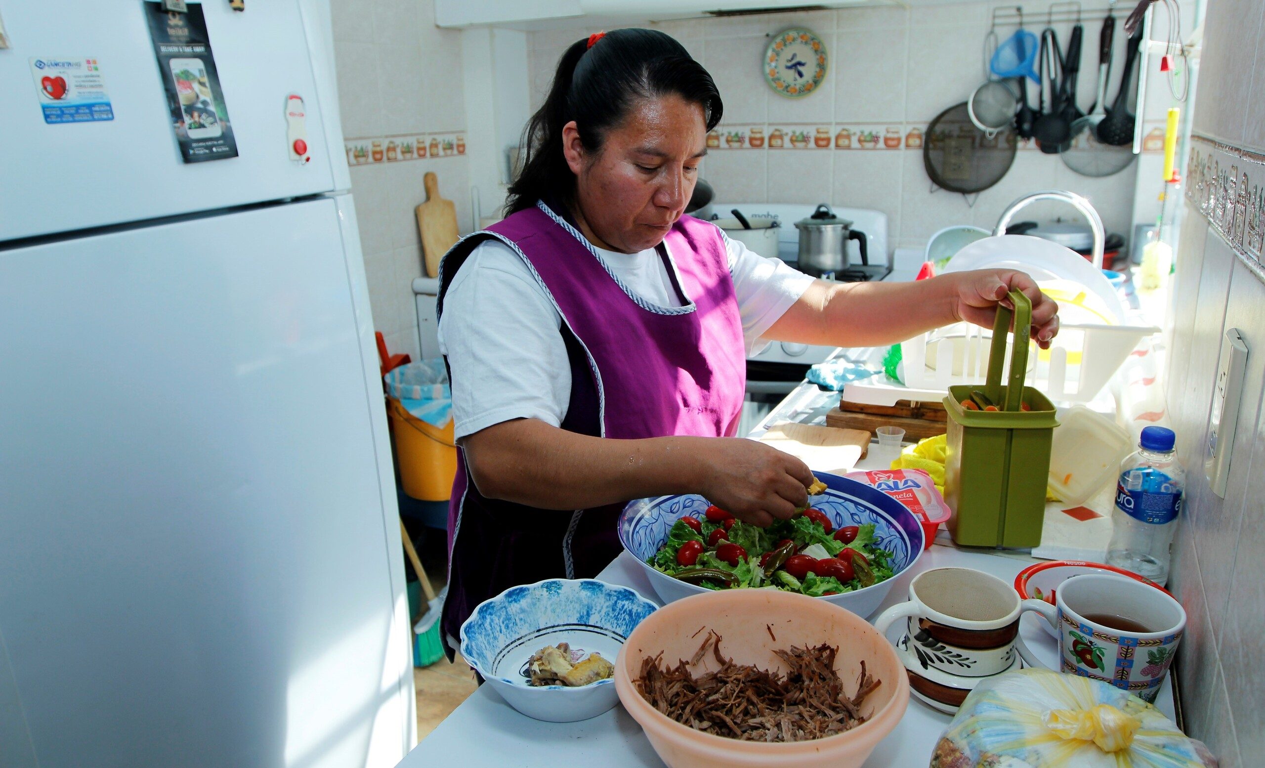 Persona Trabajadora del Hogar