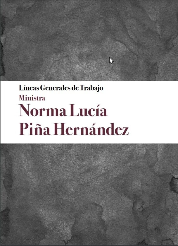 Líneas Generales de Trabajo Ministra Norma Lucía Piña Hernández
