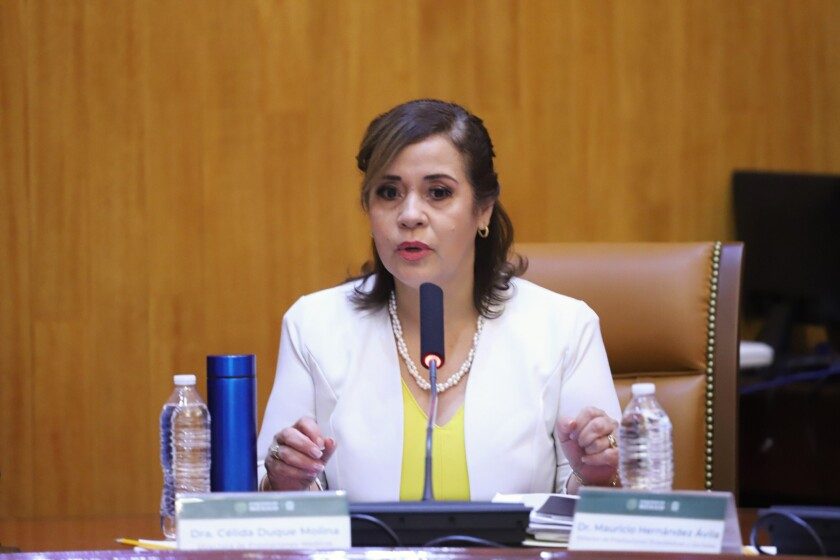 directora de Prestaciones Médicas del IMSS, doctora Célida Duque Molina,