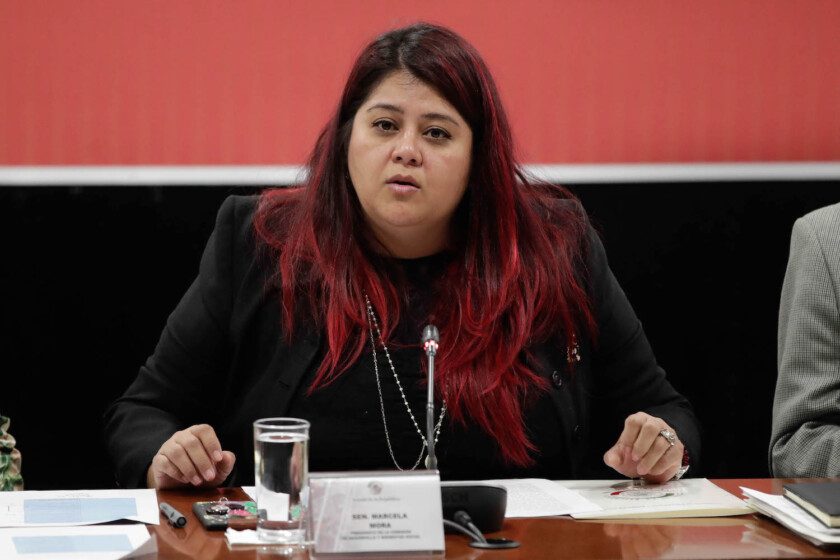 presidenta de la Comisión de Desarrollo y Bienestar Social, Marcela Mora Arellano