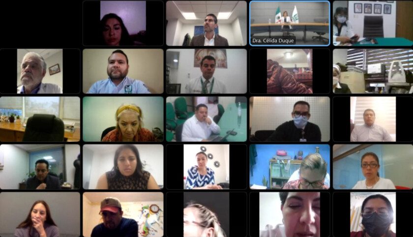 reunión virtual de trabajo 113 entre autoridades del IMSS y madres y padres de pacientes pediátricos oncológicos