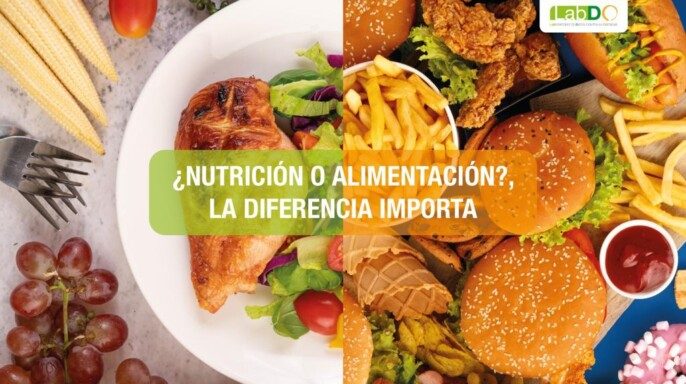 ¿Nutrición o alimentación?, la diferencia importa