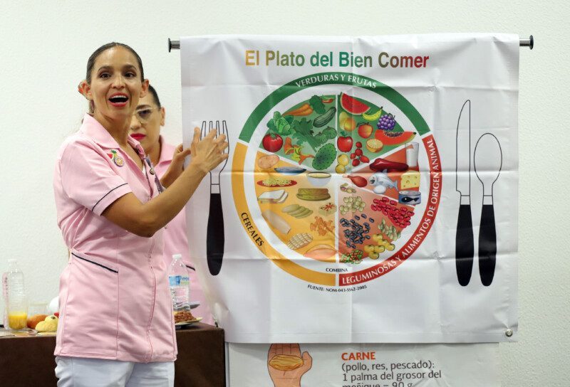 adoptar planes alimenticios respaldados por la ciencia plato del bien comer