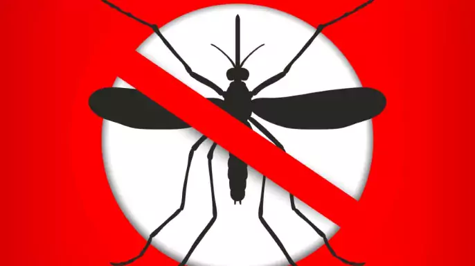 Dengue enfermedad viral transmitida por mosquitos
