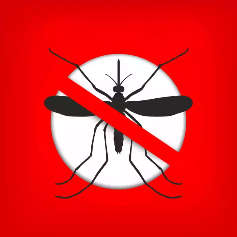 Dengue enfermedad viral transmitida por mosquitos