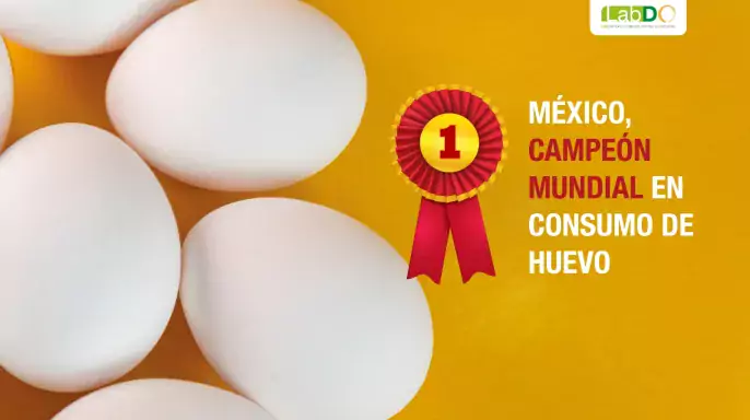 México, campeón mundial en consumo de huevos
