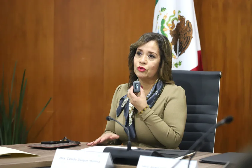 doctora Célida Duque Molina, titular de la Dirección de Prestaciones Médicas del IMSS