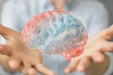 ¿Qué es la neuroplasticidad?